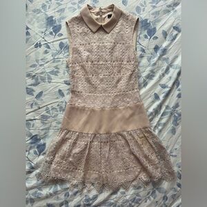 BCBGMAXAZRIA Nude Lace Collared Mini Dress Size 0 Y2K Romantic Preppy